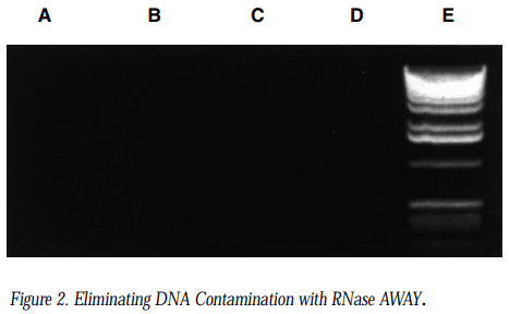 Contaminations ADN ARN